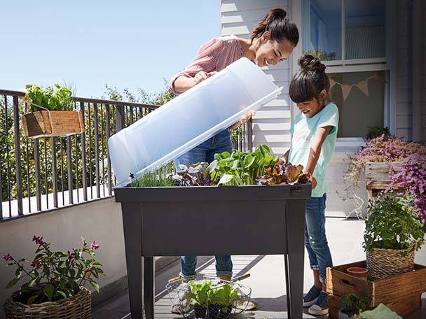 Hochbeet mit Abdeckung, Kinder pflanzen Gemüse.