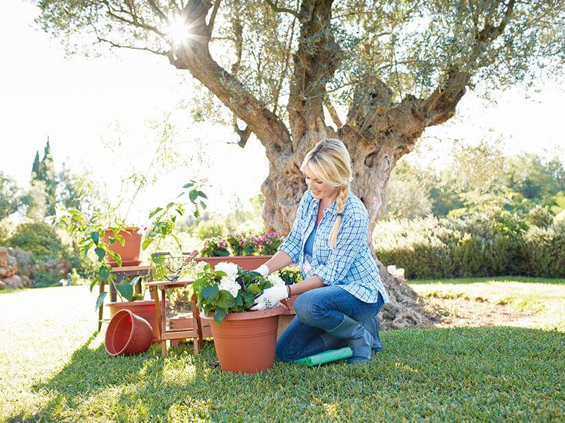 Frau im Garten, Blumen in Töpfen und Gartenwerkzeug.