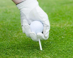 Golfball und Tee auf dem Grün.