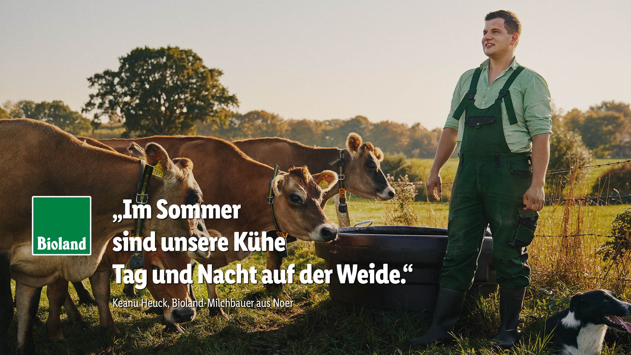 Bioland-Bauer Keanu Heuck mit Kühen auf der Weide im Sommer: „Im Sommer sind unsere Kühe Tag und Nacht auf der Weide.“