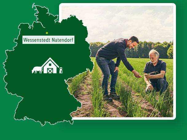 Bioland-Gemüsebauer Henrich und Christian Vinnen aus Wessenstedt Natendorf