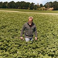 Bauer in Kartoffelfeld.