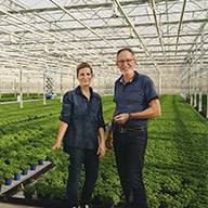 Zwei Gärtner stehen in einem Gewächshaus zwischen Reihen von Topfpflanzen.