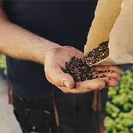 Ein Gärtner hält Samen in der Hand.