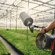 Ein Gärtner setzt Nützlinge zur Bekämpfung von Schädlingen mit einem Gerät aus.