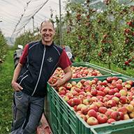 Ein Apfelbauer lehnt an Kisten voller Äpfel.
