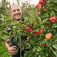 Ein lächelnder Apfelbauer steht vor einem Apfelbaum voller reifer Äpfel.