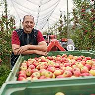 Ein Apfelbauer lehnt sich zufrieden an eine Kiste voller Äpfel.