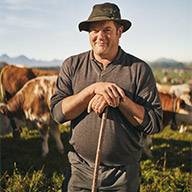 Ein lächelnder Hirte mit Stock vor seinen Kühen auf einer grünen Weide.