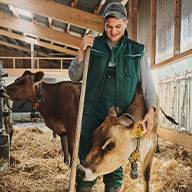Bauer mit Kühen in einem Stall.