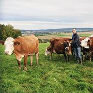 Bauer mit braunen Kühen auf einer Weide.