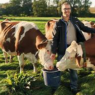 Bauer mit seinen braunen und weiß-braunen Kühen auf der Weide.