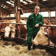Bauer mit seinen Kühen im Stall.