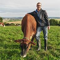 Bauer mit Guernsey-Kuh auf der Weide.