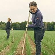 Zwei Frauen arbeiten auf einem Feld mit Harken.