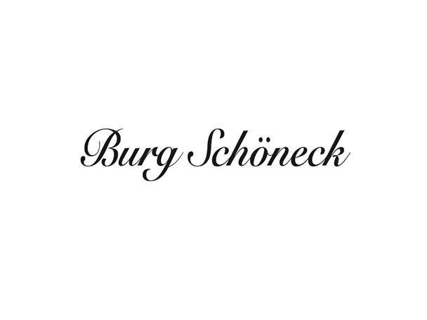 Burg Schönneck Logo.