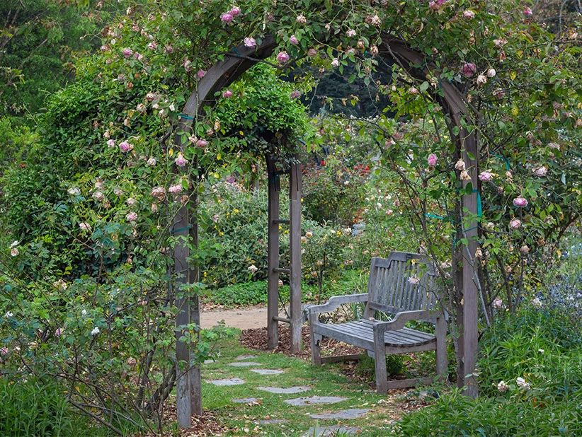 Holzbank unter Rosenbogen im Garten.