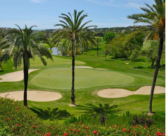 Golfplatz mit Grüns, Bunkern und Palmen.