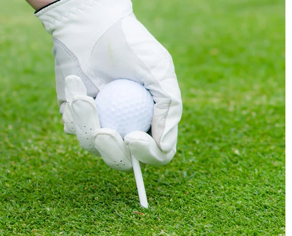 Golfhandschuh und Ball auf Rasen.