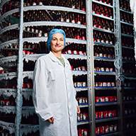 Frau in der Lebensmittelindustrie, Flaschen in Regalen.