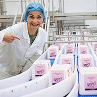 Käse auf dem Förderband.