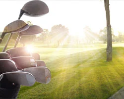 Golfschläger in sonniger Landschaft.