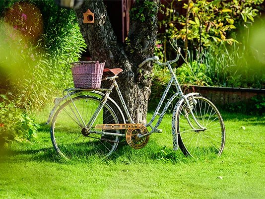 Altes Fahrrad mit Korb im Garten.