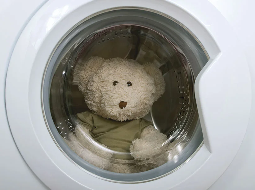 Teddybär in der Waschmaschine.