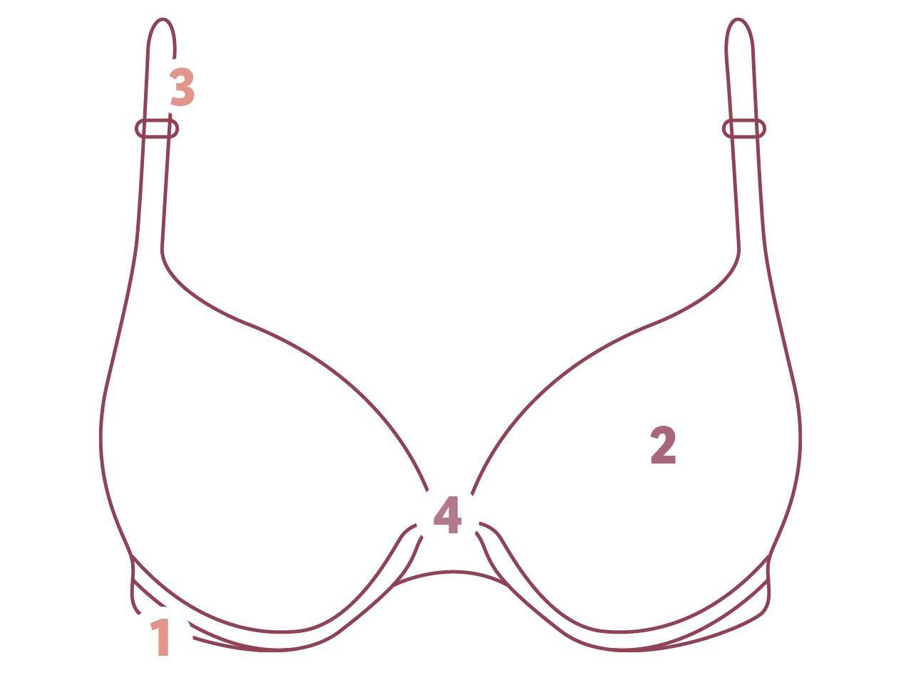 BH: Cups, Bügel, Träger.