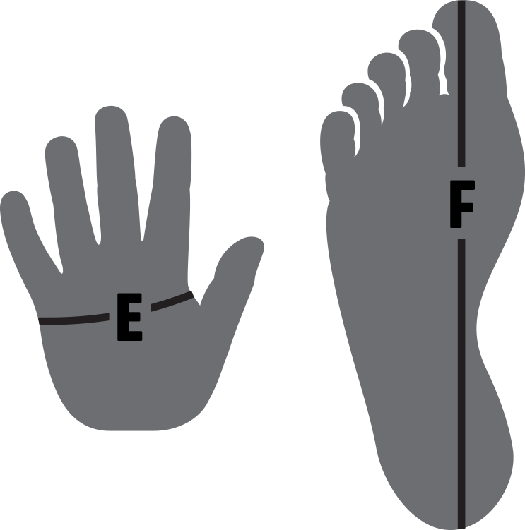 Hand- und Fußmessung: Größenanleitung.