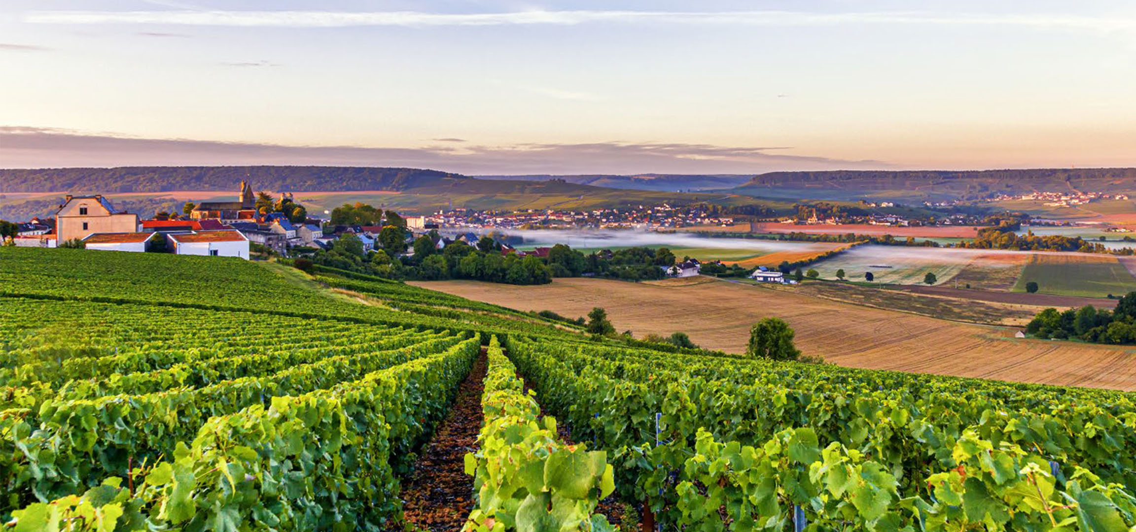 Weinberge und Dorf in sonniger Landschaft.