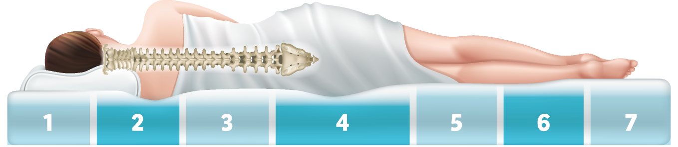 Matratze und Kissen zur Unterstützung der Wirbelsäule.