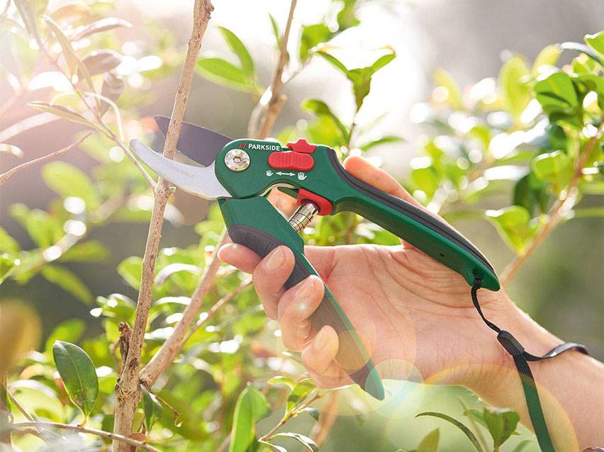 Parkside Gartenschere beim Beschneiden von Ästen.