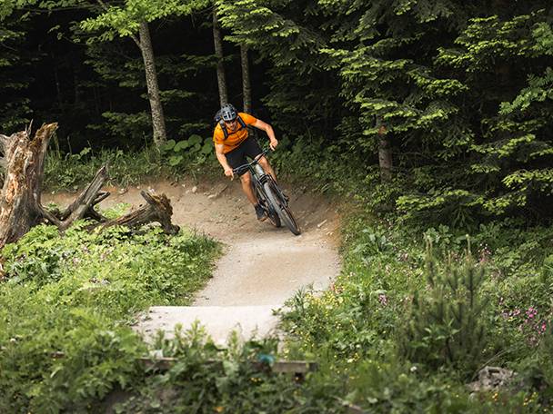 Mountainbiker auf einem Waldweg.