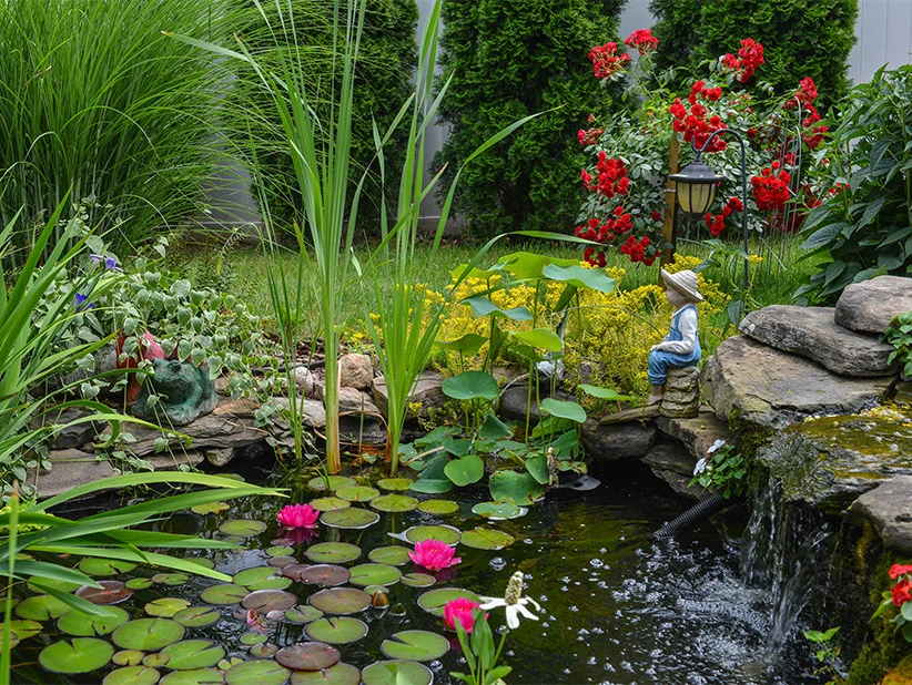 Wasserlilien, Wasserfall und Gartendekorationen in einem schönen Teich.