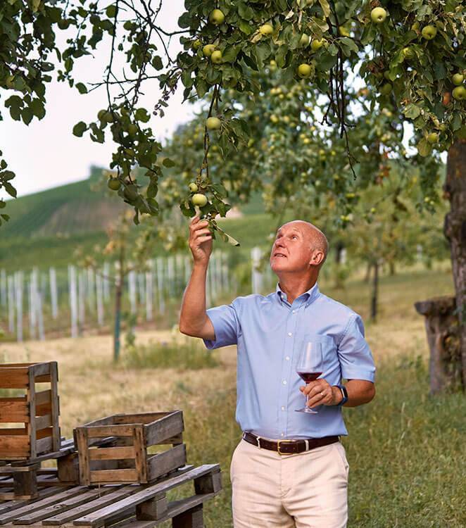 Äpfel, Wein, Holzkisten