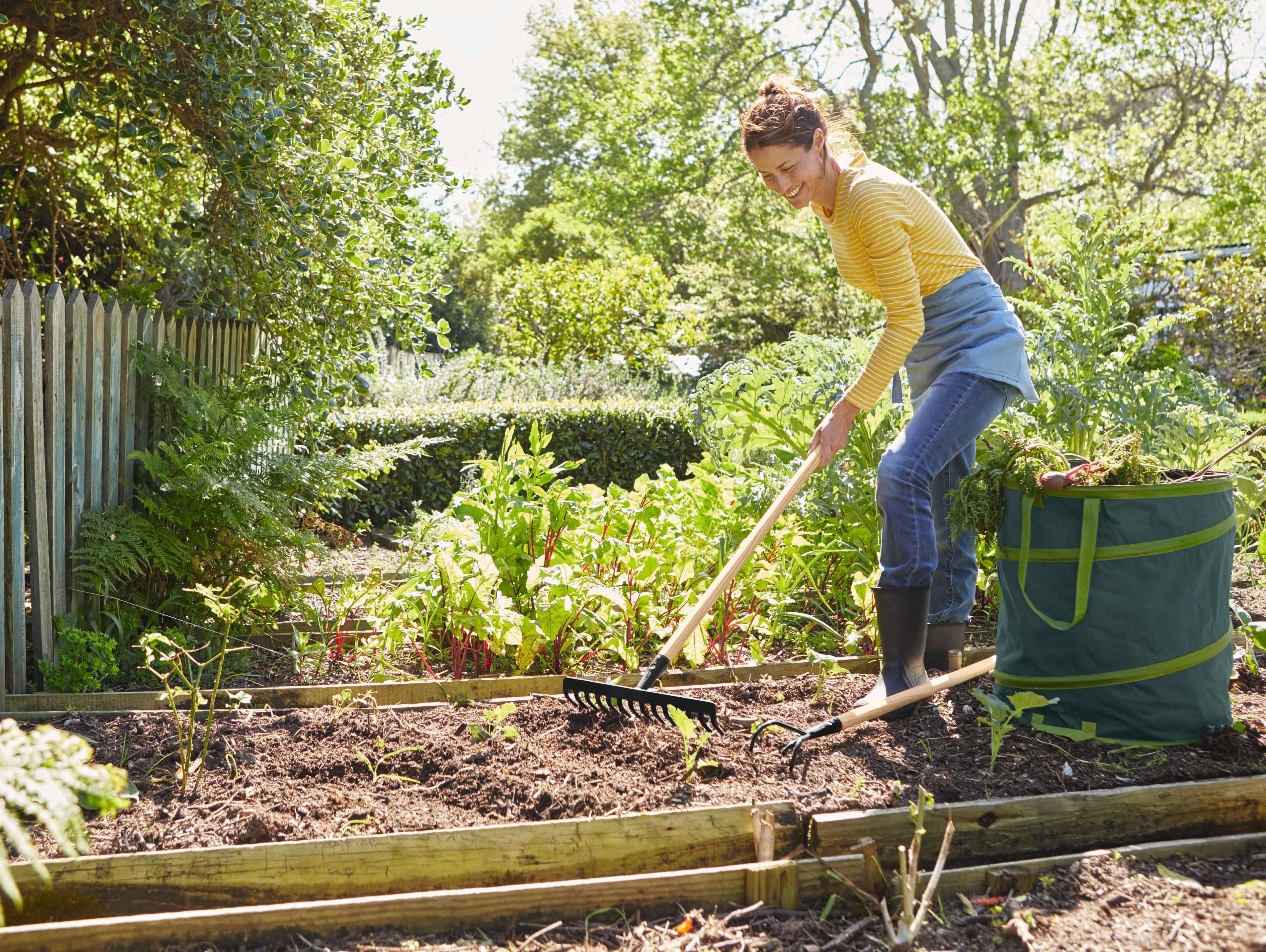Frau im Garten: Harken, Unkraut jäten und Ernte einbringen.