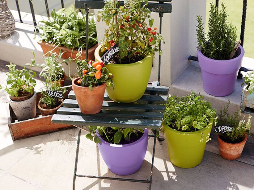 Kräuter und Tomaten in bunten Töpfen auf dem Balkon.