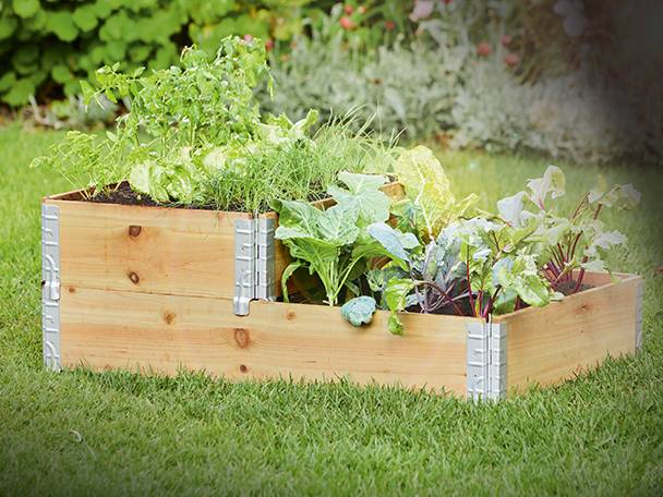 Gartenpflanzen in Holzkisten.