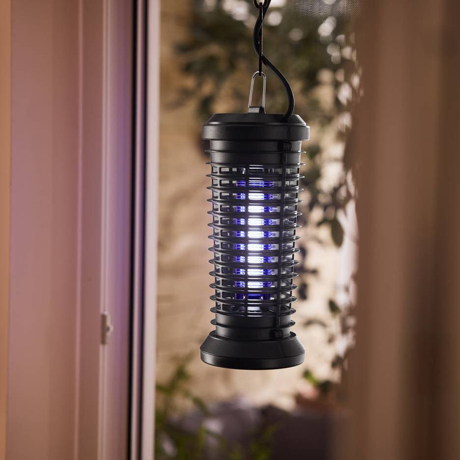 Elektrische Insektenfalle mit blauem Licht hängt an einem Fenster.